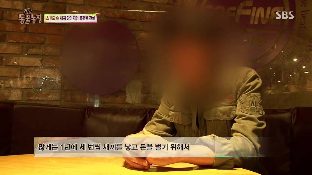 충격과 공포의 오늘자 동물농장(혐오주의) | 인스티즈