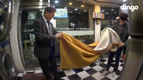 같이 이불 개는 문재인.gif | 인스티즈