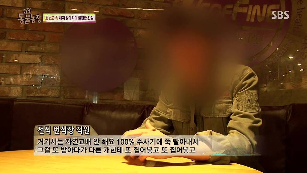 충격과 공포의 오늘자 동물농장(혐오주의) | 인스티즈