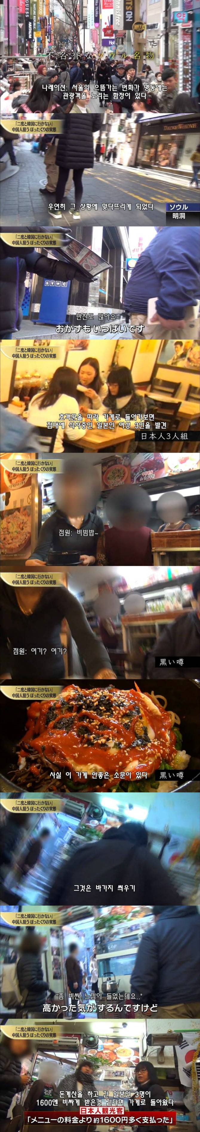 일본 방송에서 개까이는 한국관광 | 인스티즈