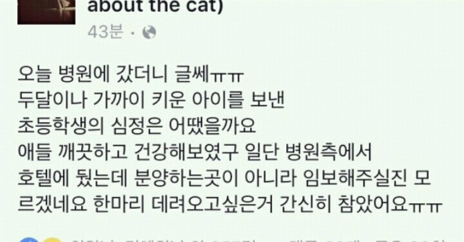 동물병원에 고양이 4마리 놓고간 초딩.jpg | 인스티즈