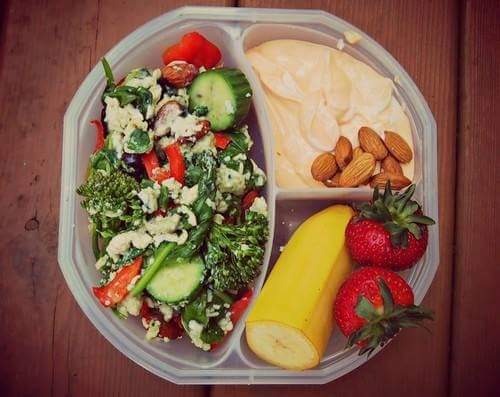 다이어터의 도시락 | 인스티즈