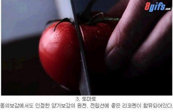 정력에 좋은 음식 | 인스티즈