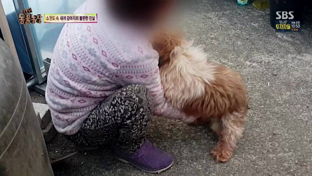 충격과 공포의 오늘자 동물농장(혐오주의) | 인스티즈