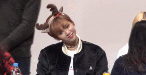 시크하게 생겼는데 하는 짓이 귀여운 트와이스 정연 | 인스티즈