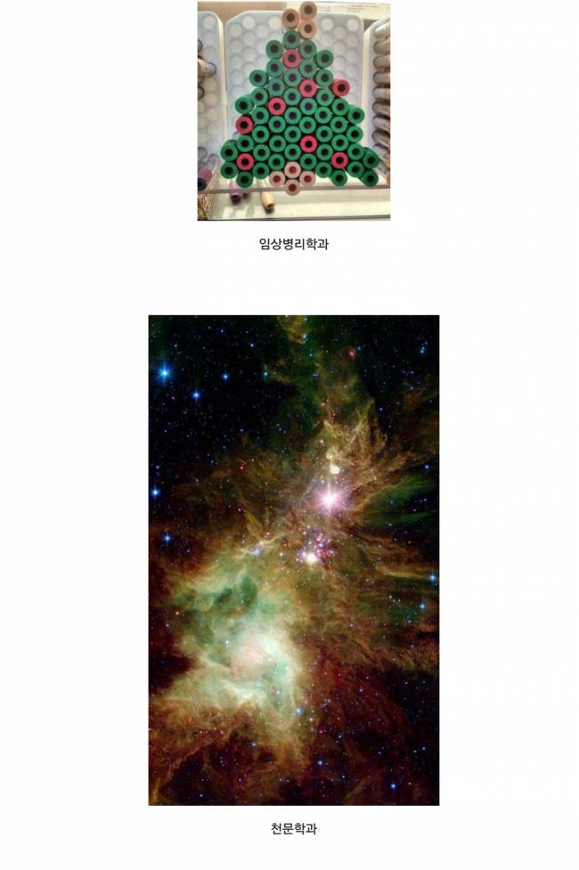 학과별 크리스마스 트리 | 인스티즈