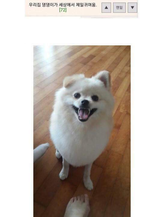 탈룰라 시리즈.jpg | 인스티즈