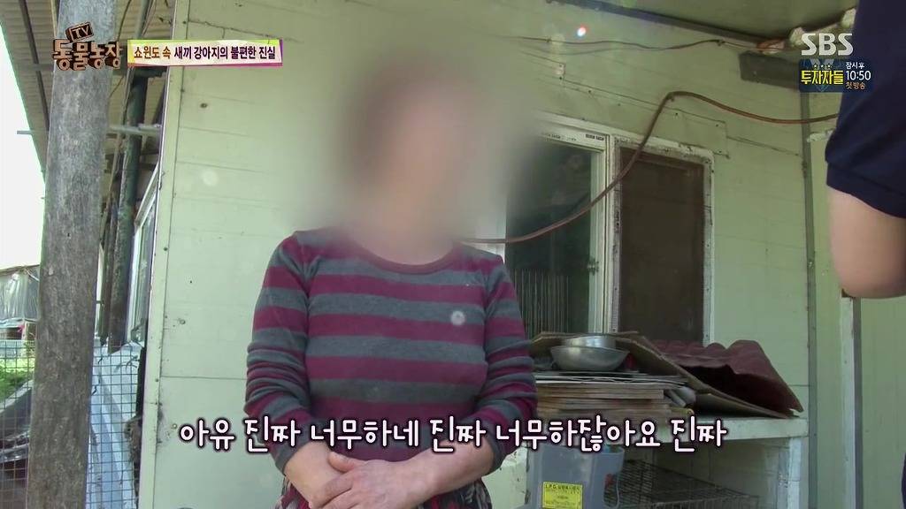 충격과 공포의 오늘자 동물농장(혐오주의) | 인스티즈
