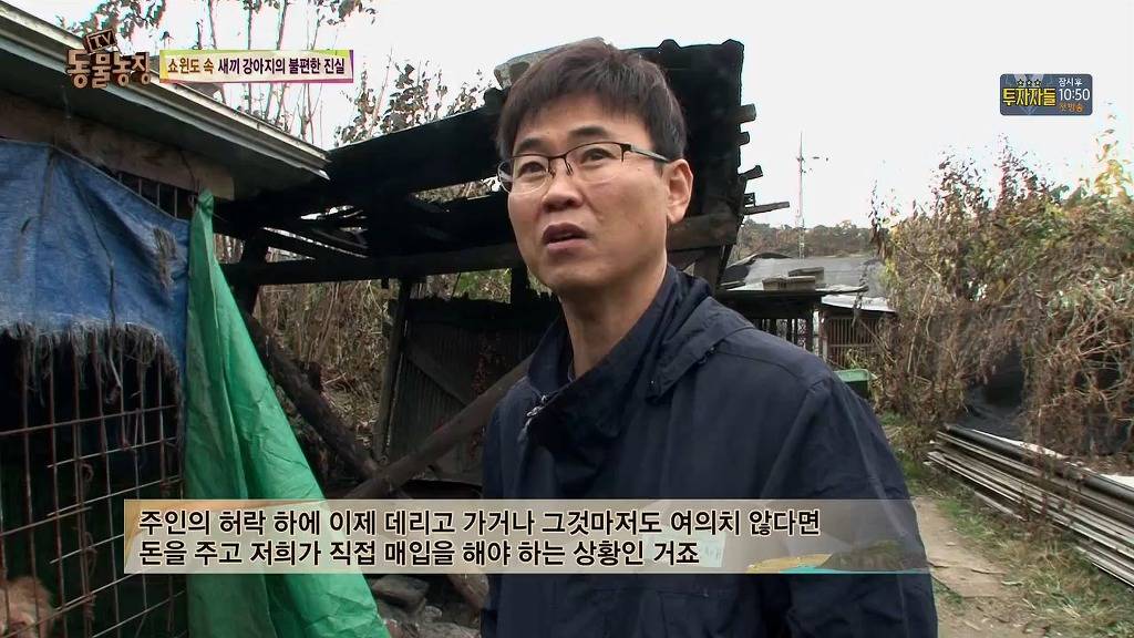 충격과 공포의 오늘자 동물농장(혐오주의) | 인스티즈