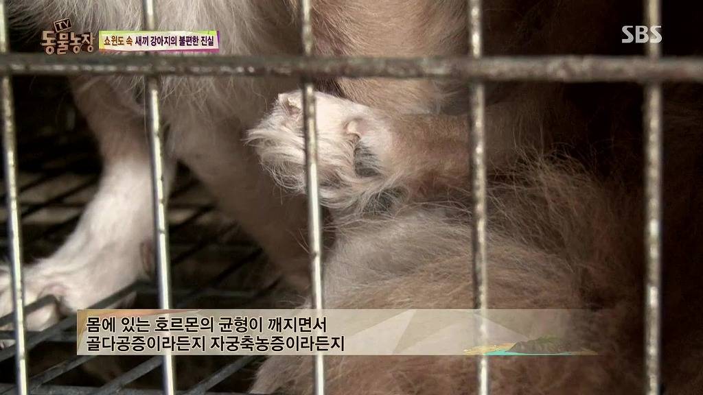 충격과 공포의 오늘자 동물농장(혐오주의) | 인스티즈