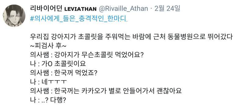 강아지가 초코렛을 먹었다 | 인스티즈