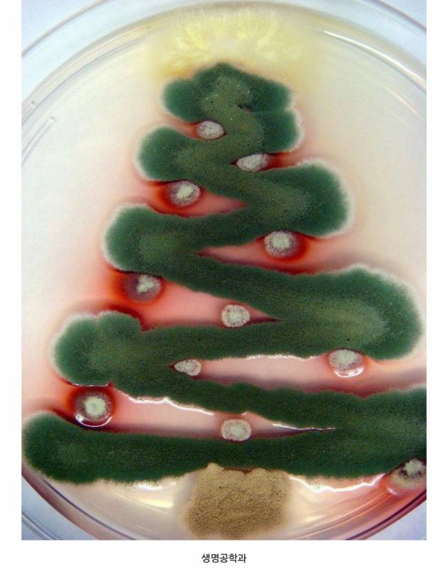 학과별 크리스마스 트리 | 인스티즈