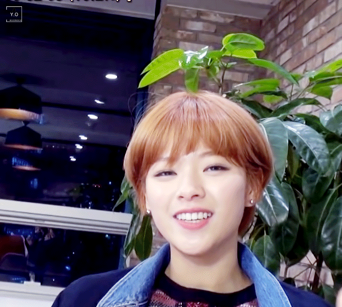 시크하게 생겼는데 하는 짓이 귀여운 트와이스 정연 | 인스티즈