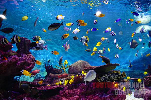 메이플스토리 마을과 비슷한 장소 사진 모아봤음(짱예&추억주의) | 인스티즈