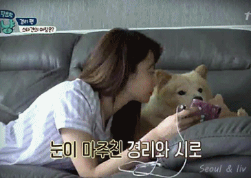 눈 마주친 경리와 시로 gif | 인스티즈