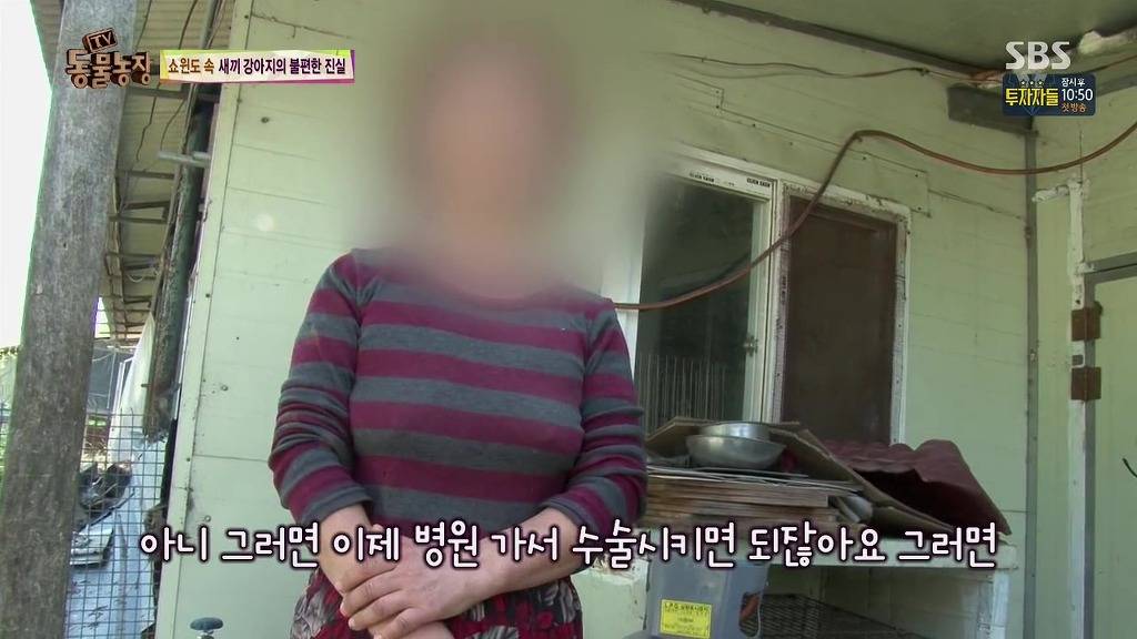 충격과 공포의 오늘자 동물농장(혐오주의) | 인스티즈