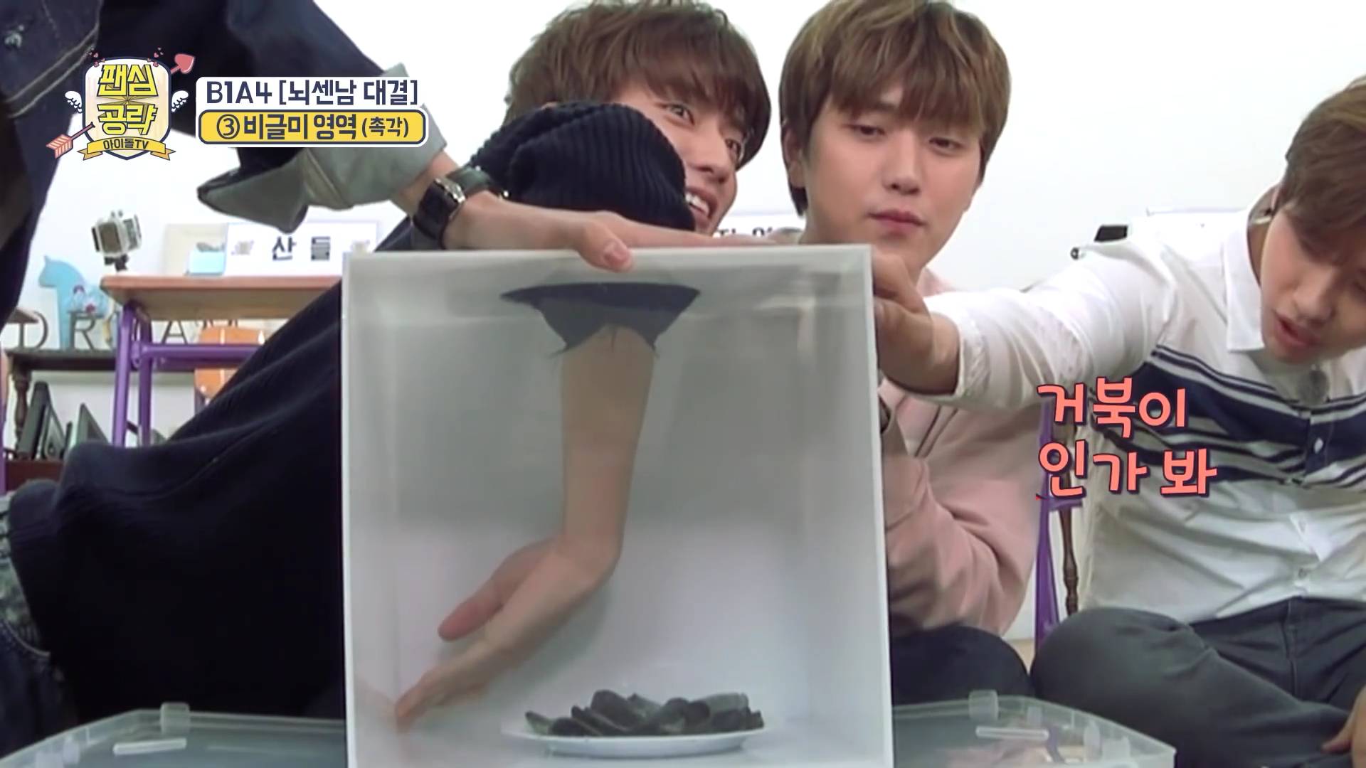 다시마 만지고 우는 아이돌ㅋㅋㅋㅋ.jpgif | 인스티즈