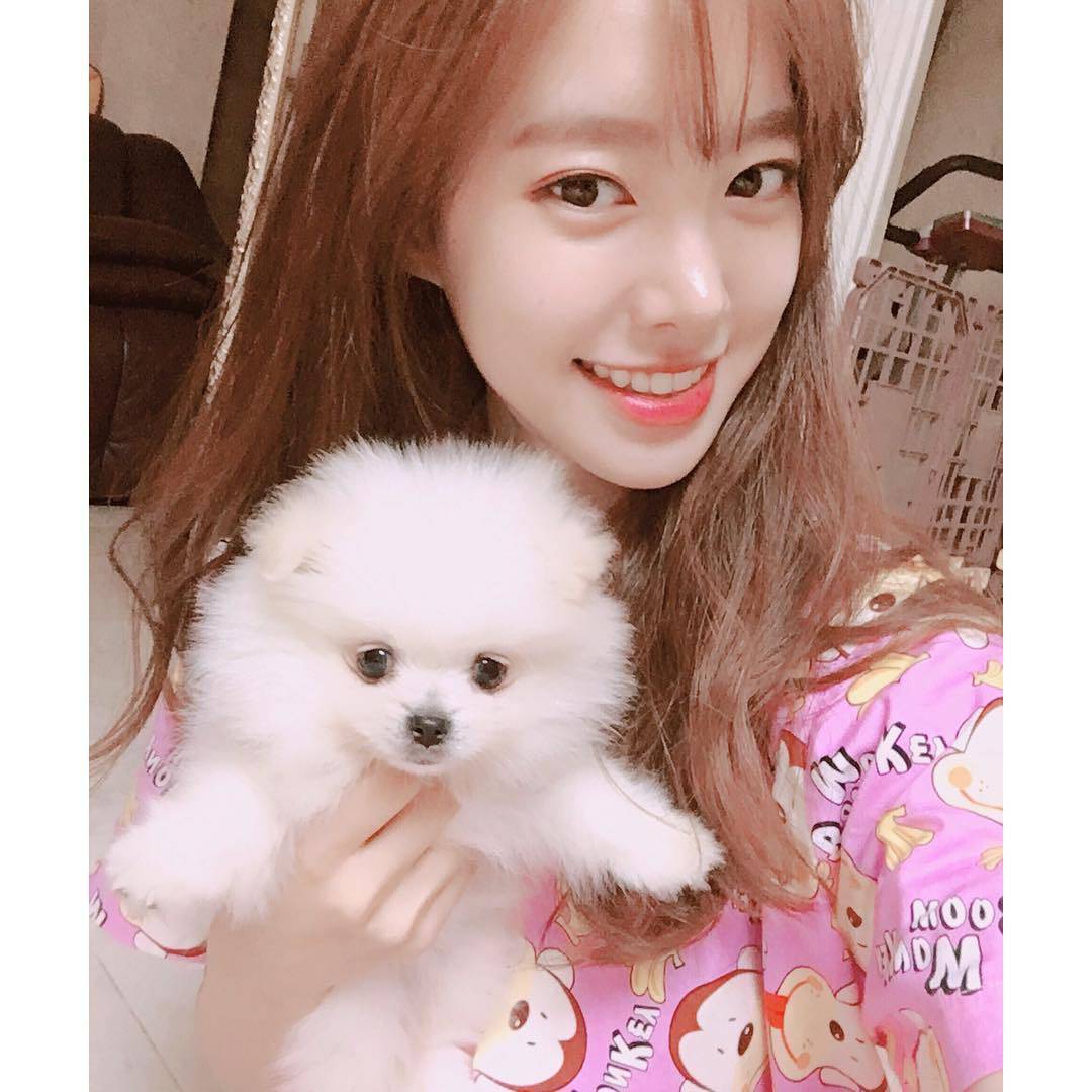 배우 진세연.jpg | 인스티즈