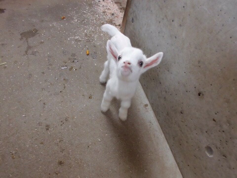 호불호 갑 | 인스티즈