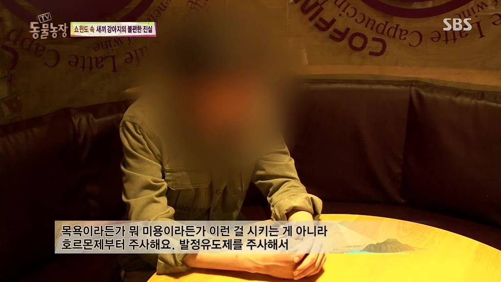 충격과 공포의 오늘자 동물농장(혐오주의) | 인스티즈