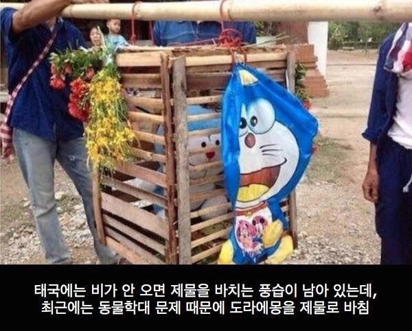 태국의 전통문화 (심형탁 클릭 절대 금지) | 인스티즈