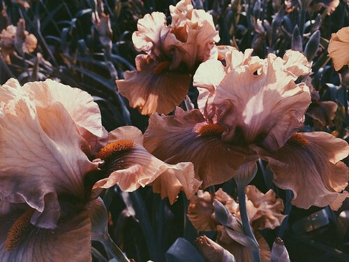  미루는 습관을 극복하는 11가지 방법 | 인스티즈