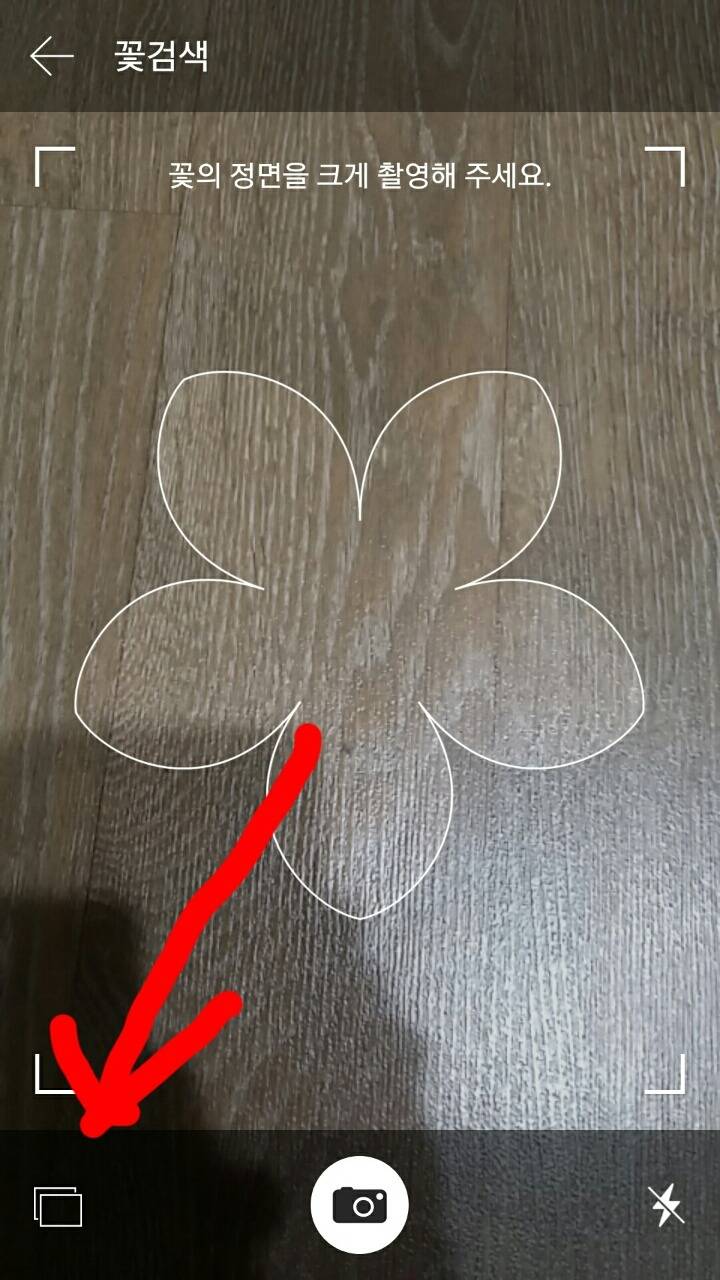 완전 신기한!!! 꽃검색 기능 알고계셨나요??? | 인스티즈