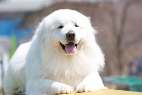 1박2일 시즌1 vs 무한도전 vs 패밀리가 떴다 시즌1 | 인스티즈