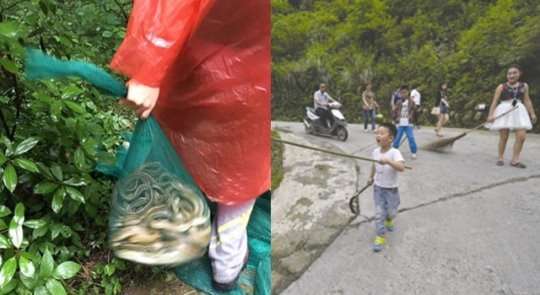 종교 때문에.. 마을 뒷산에 뱀 900마리 푼 中여성 | 인스티즈
