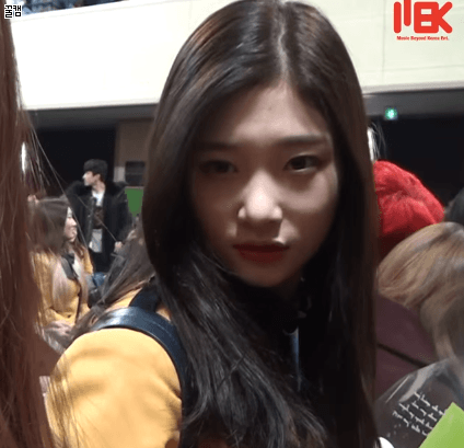 오늘도 댕한 댕챙 | 인스티즈