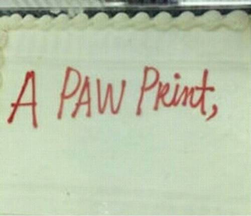 케이크 주문 잘못 이해한 제과점들 | 인스티즈