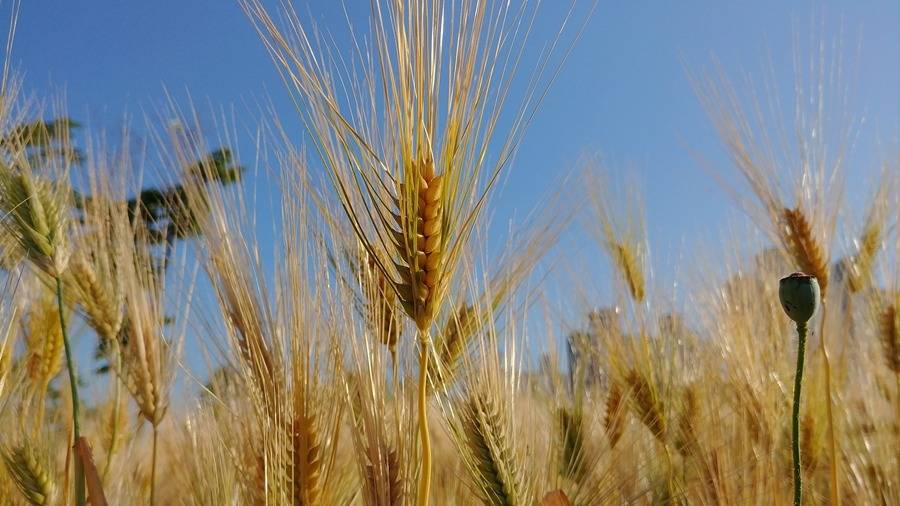 G6로 찍은 풍경사진들(보정).jpg | 인스티즈