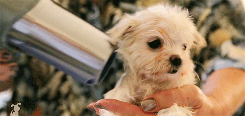 자꾸 눈이 가네 하얀 그 얼굴에.jpgif | 인스티즈