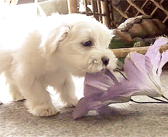 자꾸 눈이 가네 하얀 그 얼굴에.jpgif | 인스티즈