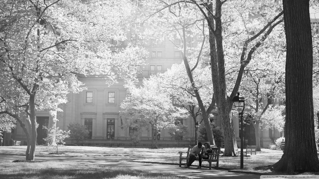 고해상도 컴퓨터 배경화면 395번째 게시물 BGM - 센과 치히로의 행방불명 OST - 어느 여름 날 | 인스티즈