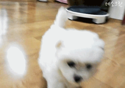 자꾸 눈이 가네 하얀 그 얼굴에.jpgif | 인스티즈