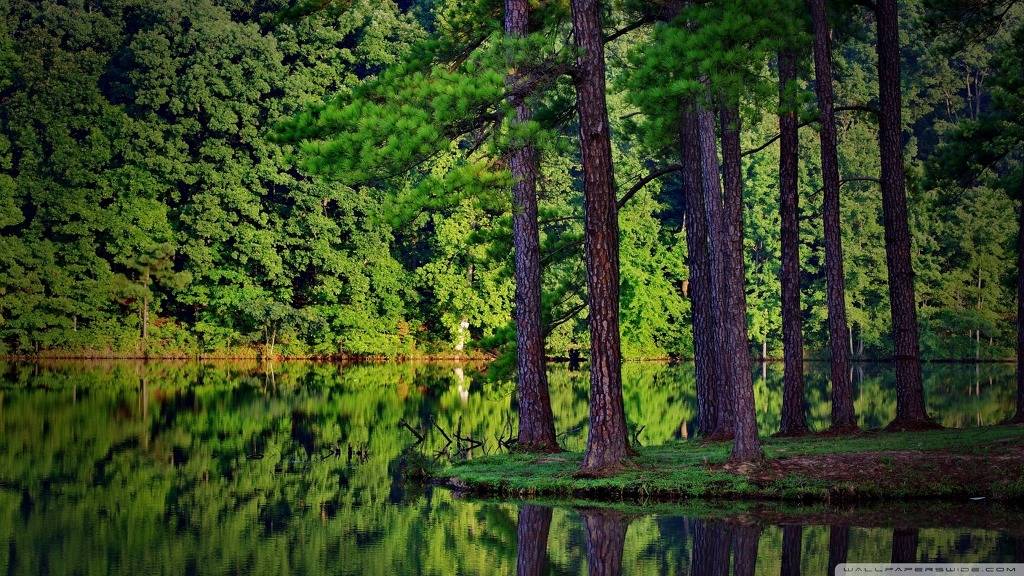 고해상도 컴퓨터 배경화면 395번째 게시물 BGM - 센과 치히로의 행방불명 OST - 어느 여름 날 | 인스티즈