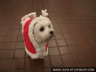 자꾸 눈이 가네 하얀 그 얼굴에.jpgif | 인스티즈