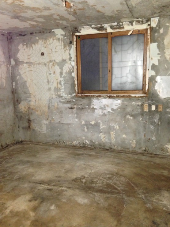 알콜중독자의 고독사 현장 (혐오주의) | 인스티즈