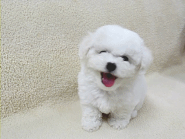 자꾸 눈이 가네 하얀 그 얼굴에.jpgif | 인스티즈