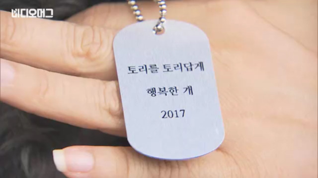 토리가 새마약방석이 맘에 들었나보다(영상） | 인스티즈