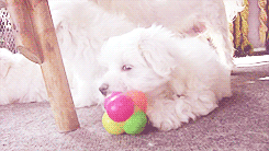 자꾸 눈이 가네 하얀 그 얼굴에.jpgif | 인스티즈