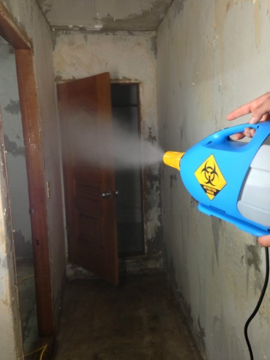 알콜중독자의 고독사 현장 (혐오주의) | 인스티즈