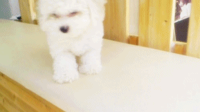 자꾸 눈이 가네 하얀 그 얼굴에.jpgif | 인스티즈