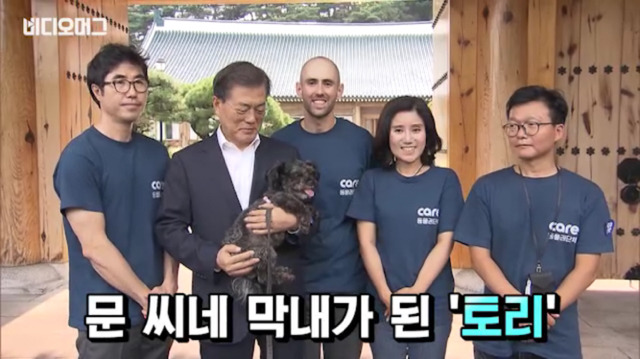 토리가 새마약방석이 맘에 들었나보다(영상） | 인스티즈