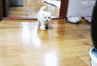 자꾸 눈이 가네 하얀 그 얼굴에.jpgif | 인스티즈