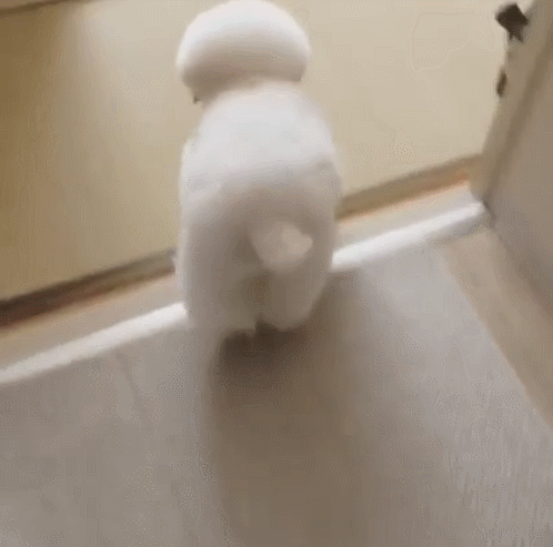 자꾸 눈이 가네 하얀 그 얼굴에.jpgif | 인스티즈