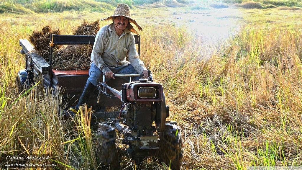 고해상도 컴퓨터 배경화면 395번째 게시물 BGM - 센과 치히로의 행방불명 OST - 어느 여름 날 | 인스티즈