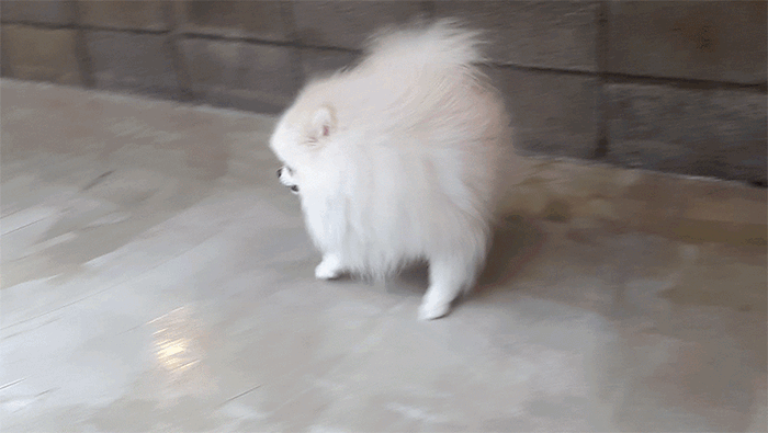 자꾸 눈이 가네 하얀 그 얼굴에.jpgif | 인스티즈