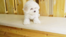 자꾸 눈이 가네 하얀 그 얼굴에.jpgif | 인스티즈